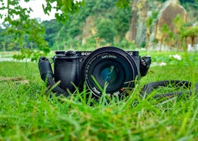 Camera with Carl Zeiss lens on grass, surrounded by nature and vibrant greenery.