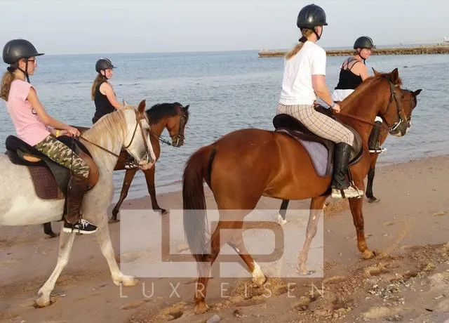 horse riding