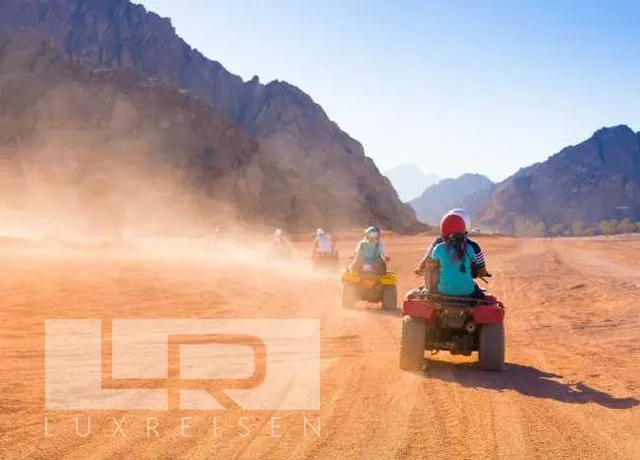 quad safari