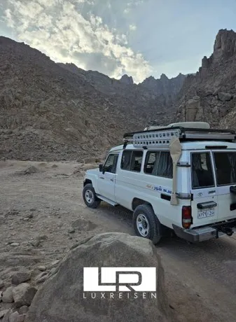 safari