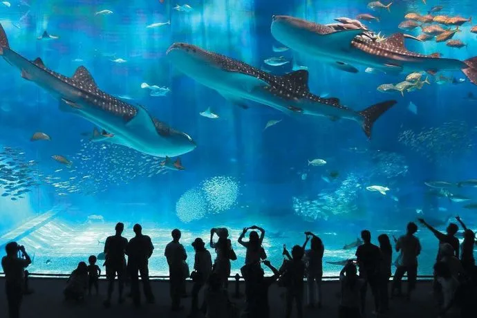 Hurghada Grand Aquarium