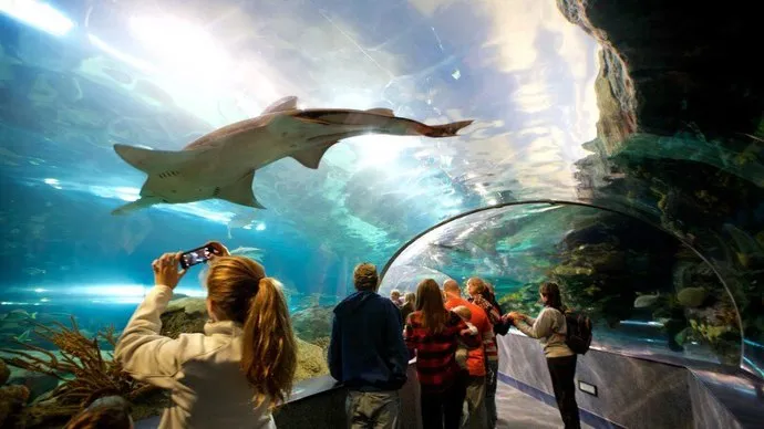 Hurghada Grand Aquarium