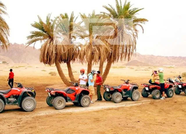 quad safari