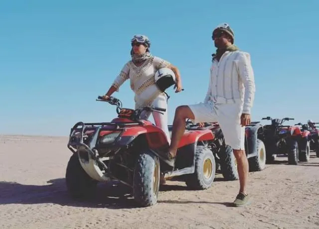 safari